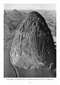 611 GYRAFRIQUE_000021